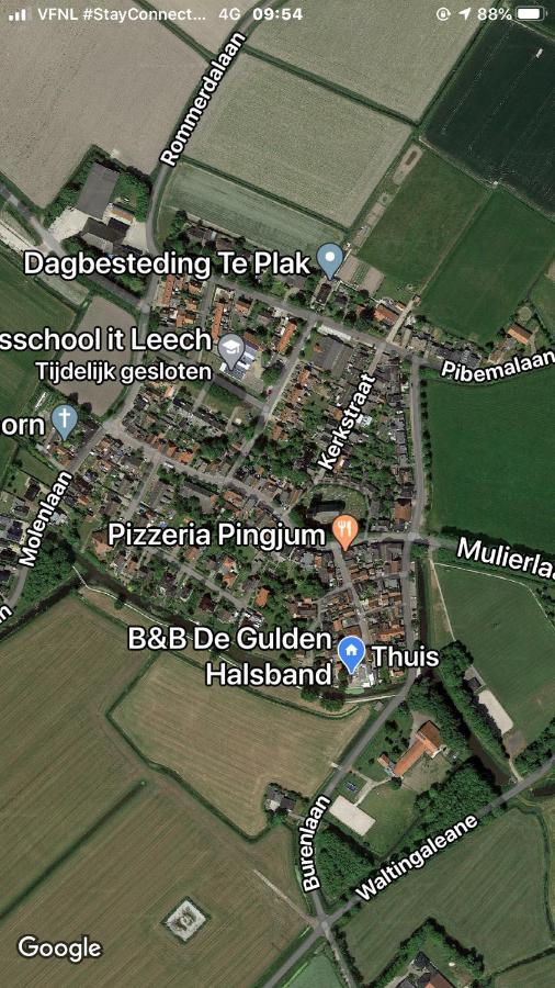 B&B De Gulden Halsband Pingjum Esterno foto